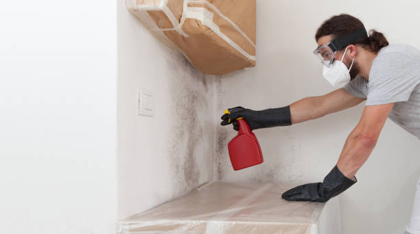 Professional Attic Mold Remediation technician working in Winchester, MA