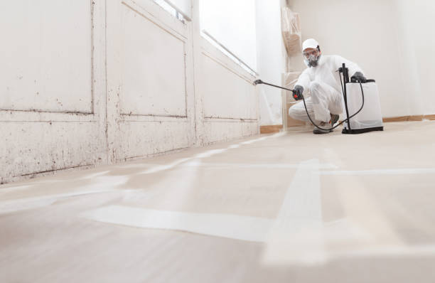 24/7 Emergency Attic Mold Remediation experts in Winchester, MA