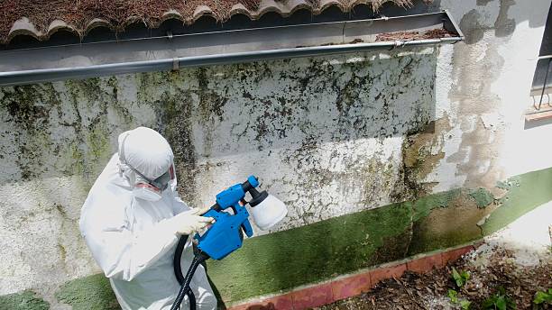 Top rated local Attic Mold Remediation specialists in Winchester, MA